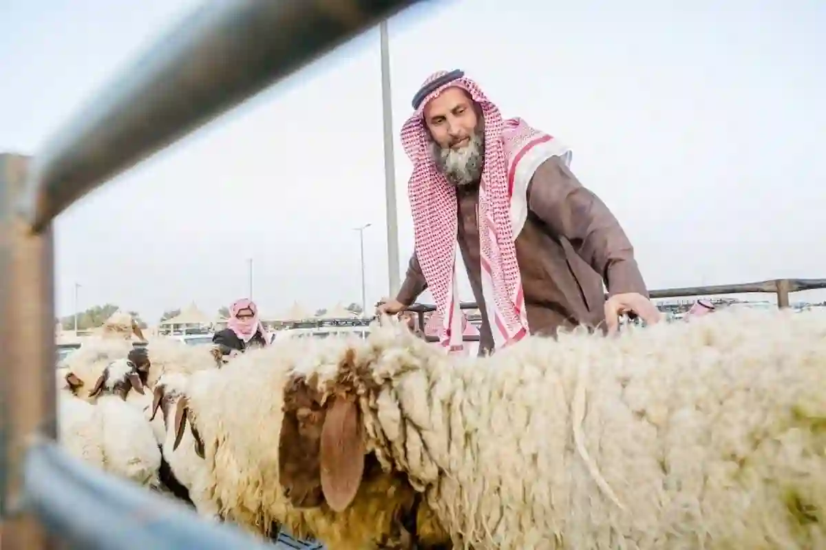 موسم الأضاحي