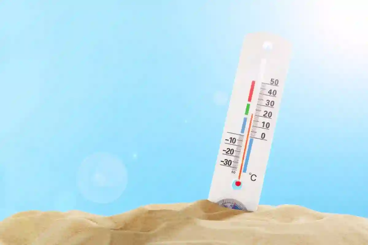  عبدالله المسند