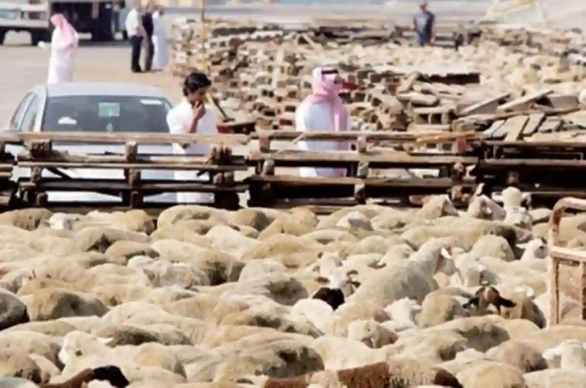 مشروع الأضاحي السعودي