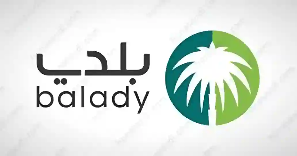 تطبيق بلدي+ يعيد التنقل