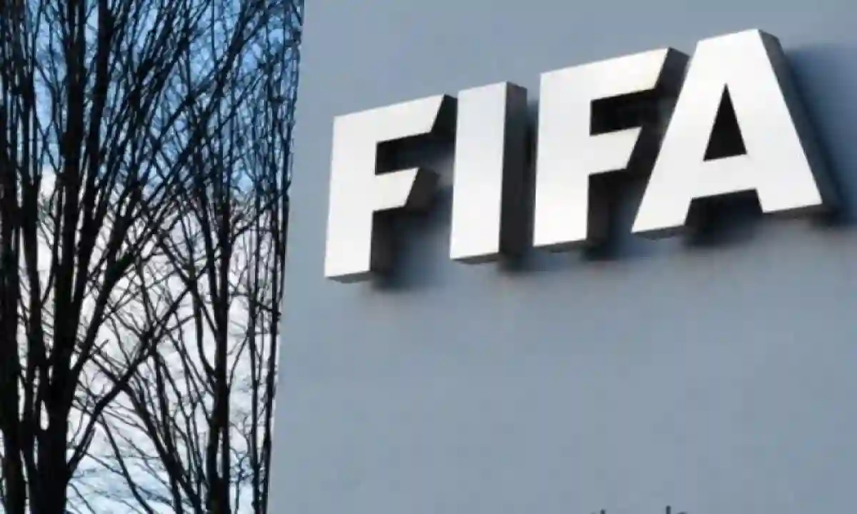 الفيفا