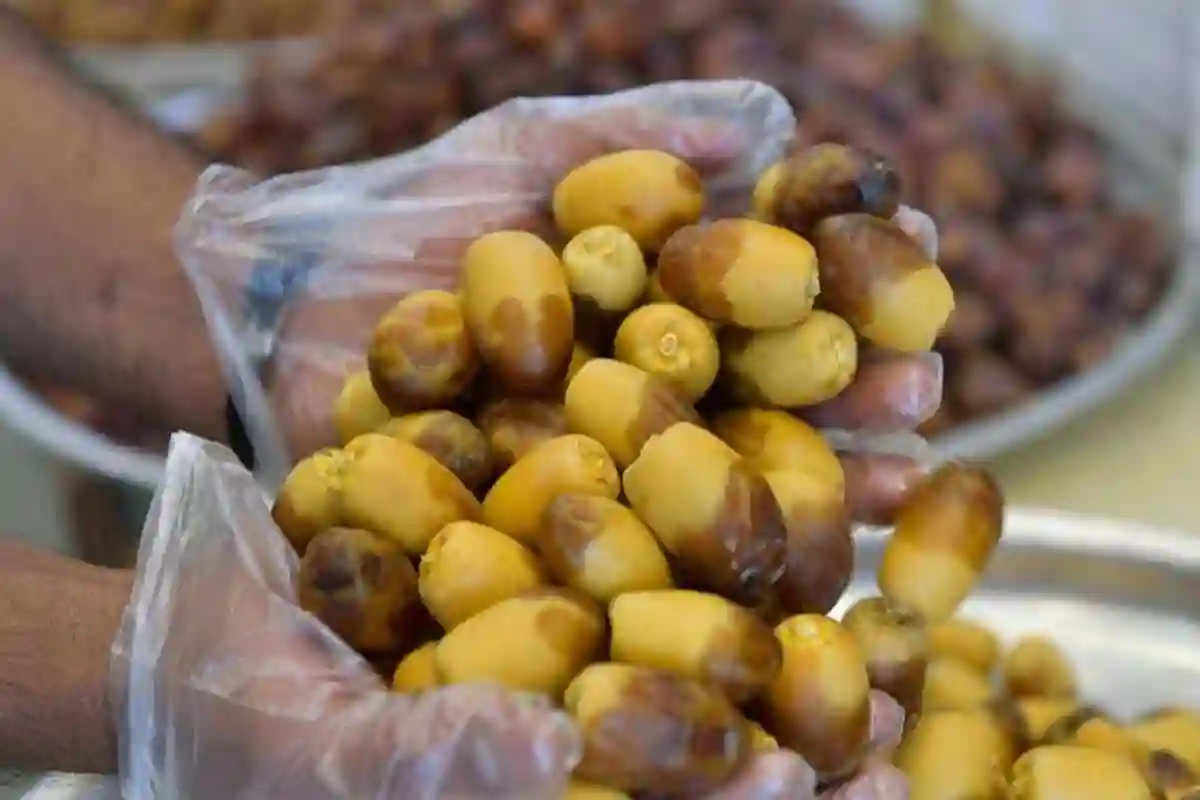 موسم الرطب