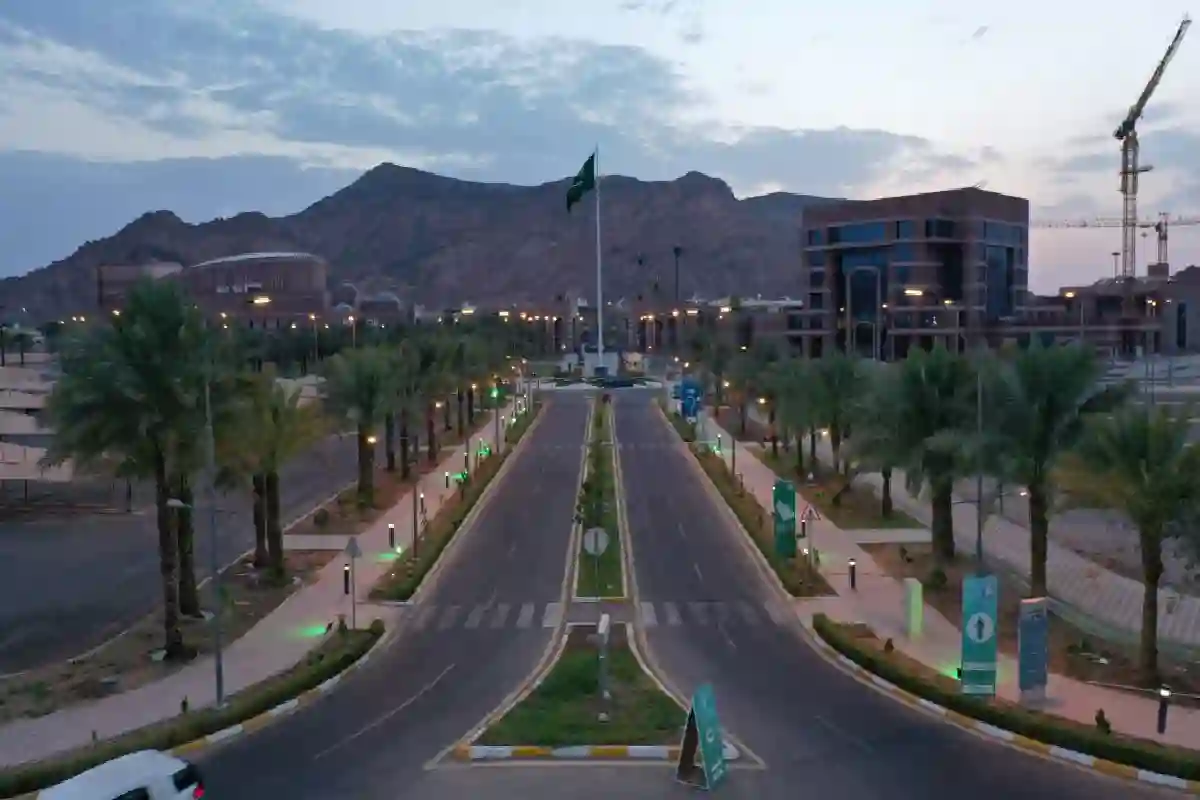 جامعة طيبة تفاجئ طلابها بتخصصات جديدة كليًا للعام الجامعي المقبل.