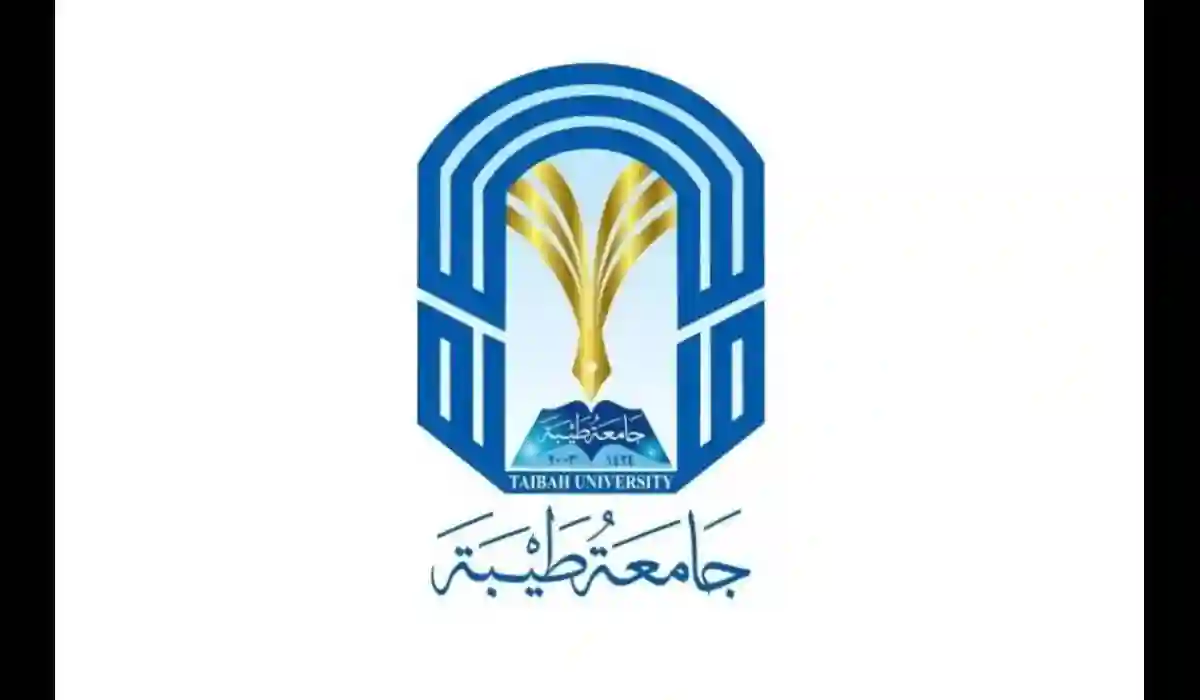 جامعة طيبة