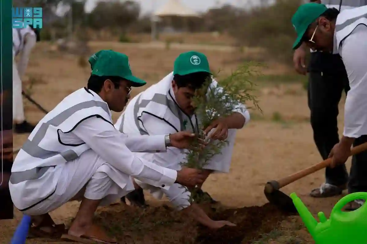 إرادة خضراء