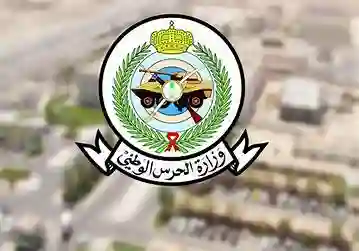 ضبط يمنيين يهربون قاتًا بجازان