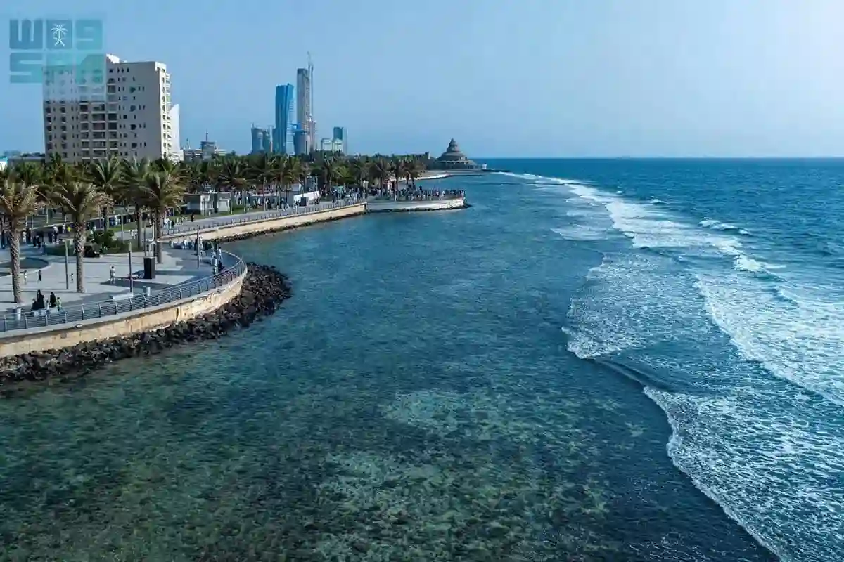 التلوث البيئي