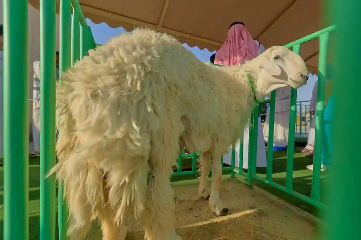 عيد الأضحى 1446