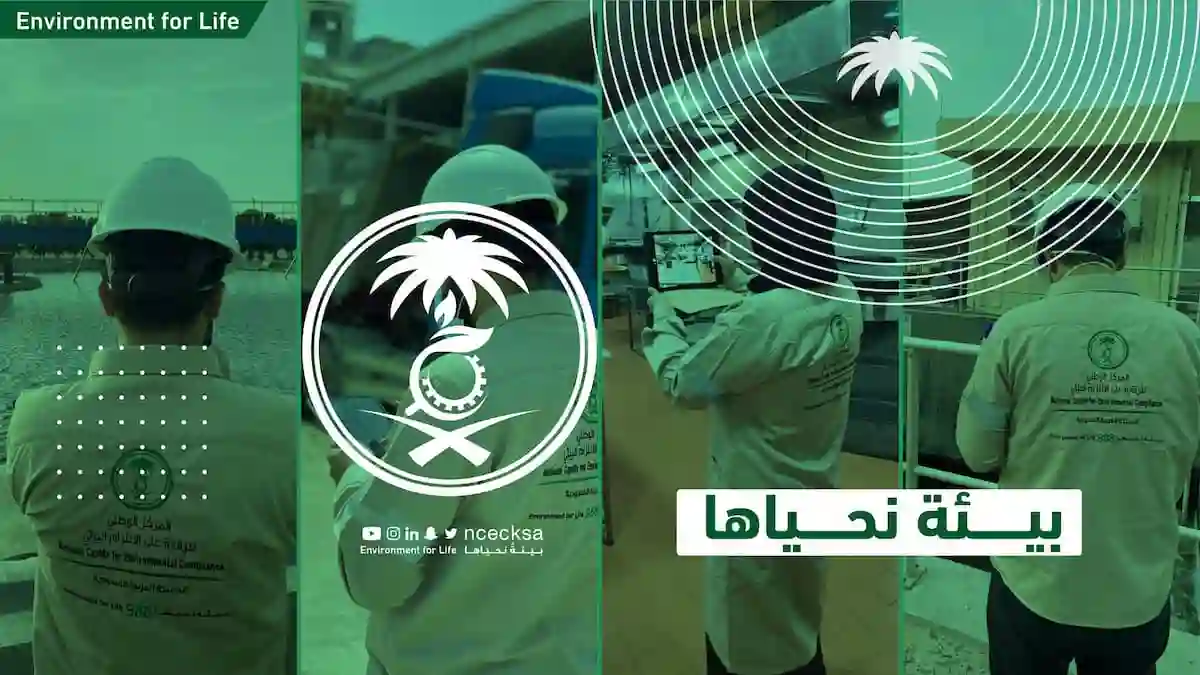 الرقابة البيئية